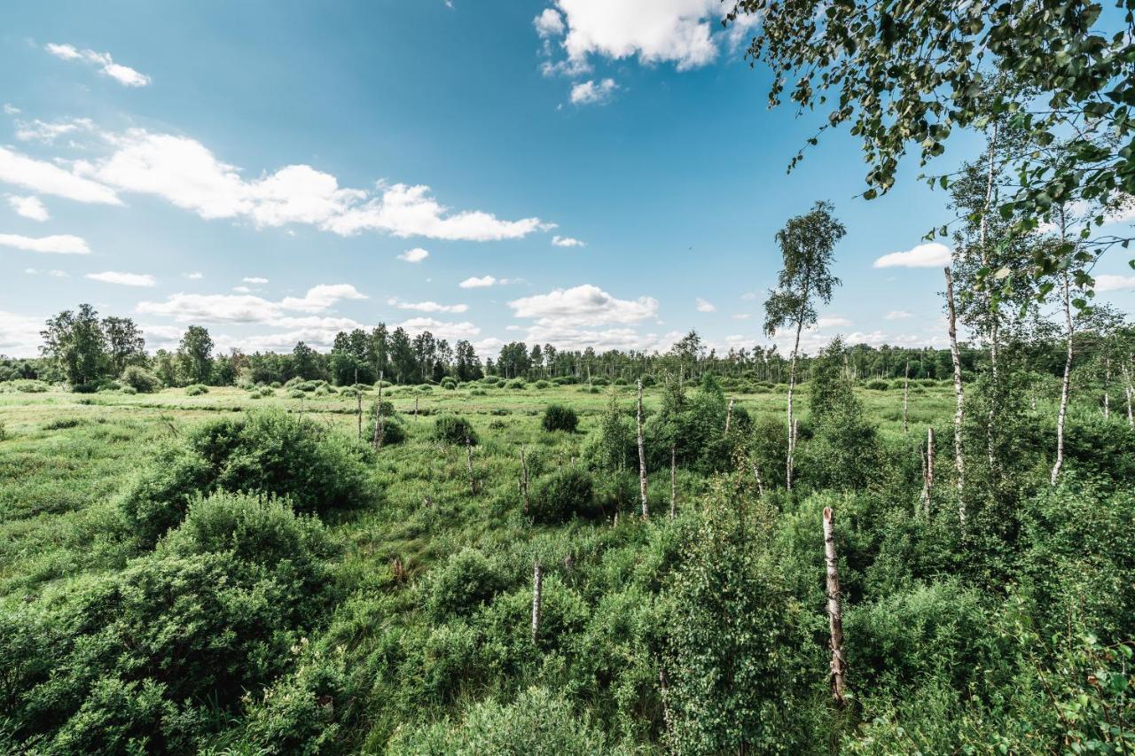 Maidla Nature Resort Екстериор снимка